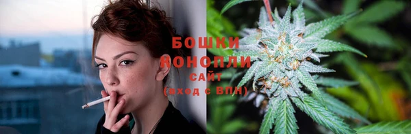 бошки Гусиноозёрск