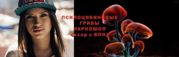 бошки Гусиноозёрск