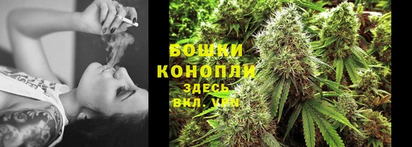 бошки Гусиноозёрск