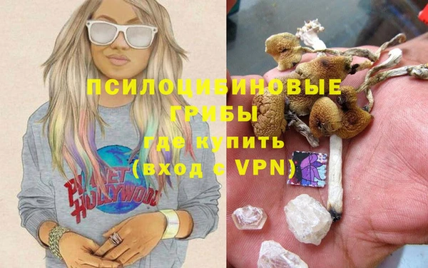 соль курить ск Гусев