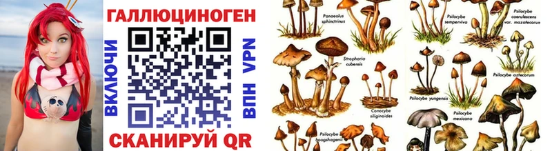 Купить закладки  Белоозёрский  Псилоцибиновые грибы MAGIC MUSHROOMS 
